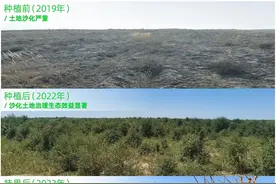 蚂蚁集团可持续发展报告：重投科技普惠，2023年研发投入211.9亿元图片