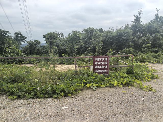 南京汤山龙尚湖青龙山佘村一日郊野徒步