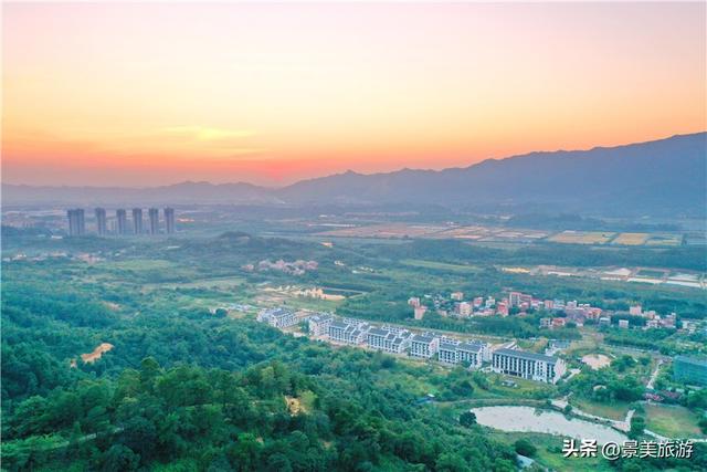 佛山市民国庆出游不用出家门，三水这个花主题景区将游客拉回春天