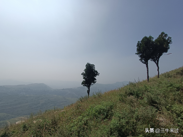 无为在歧路，莱芜霹雳尖