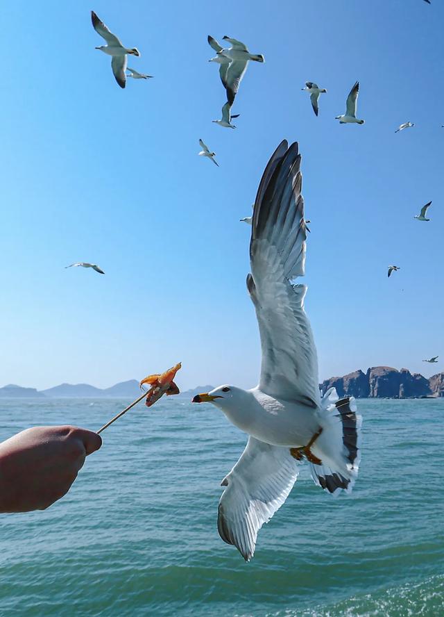 这个小长假，好运角又双叒叕在这个榜单排名第一！