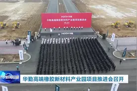 华勤高端橡胶新材料产业园项目推进会召开图片