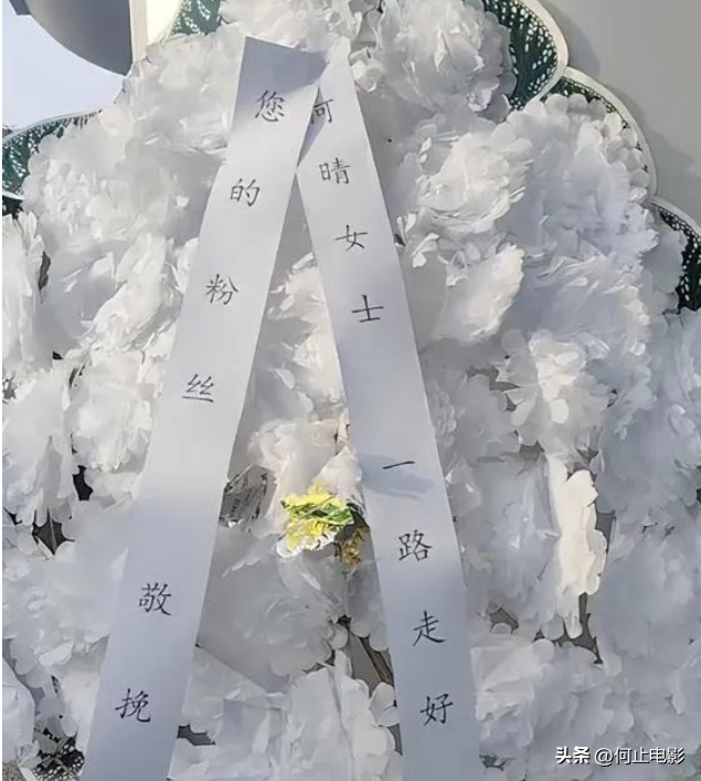 何晴葬礼结束，许亚军美国陪小儿子神情不见悲伤，评论区骂声一片