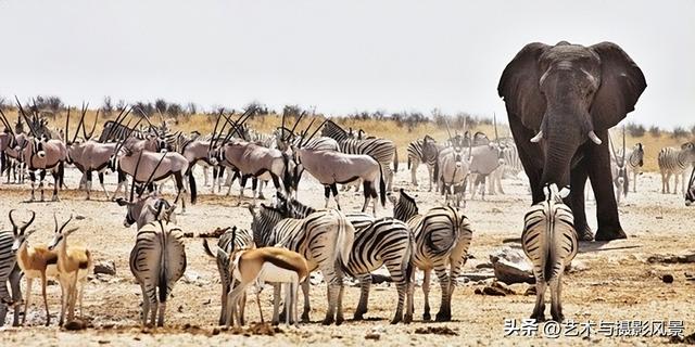 沙漠风光旅游不可忽视的国家——纳米比亚