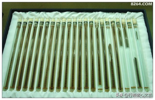 山东行游影记（56）—银雀山汉墓竹简博物馆（七）