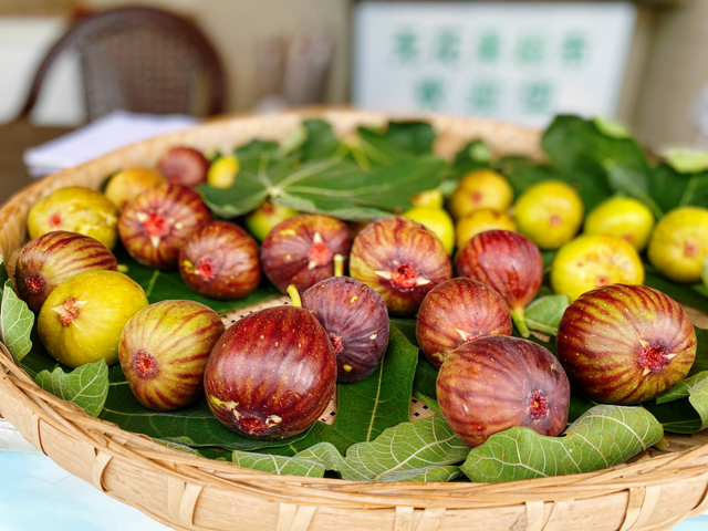广元不远 周末优选 | 我承认，我就是“水果脑袋”！