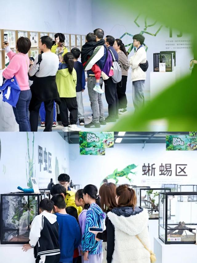 现在就出发！会玩儿的深圳人，已经安排上了……