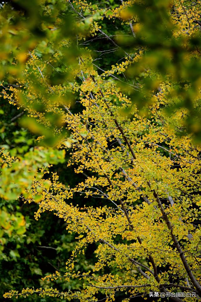 达活泉，这才是秋天该有的样子（图）