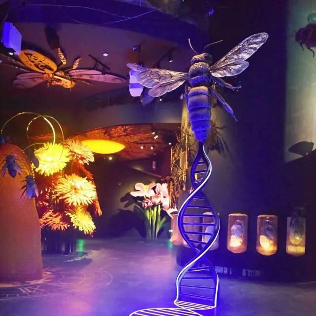 获吉尼斯世界纪录！最大蜜蜂主题馆就在昌平