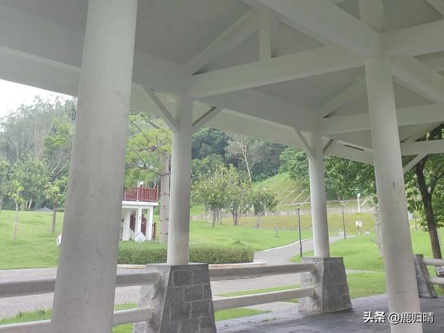 深圳马峦山看瀑布攻略(夏天避暑必去榜)