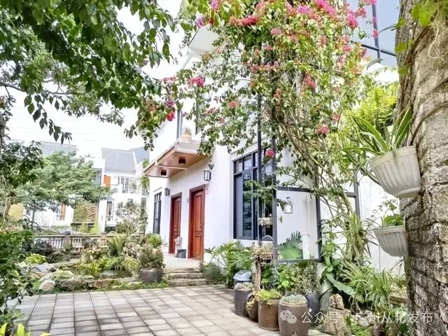 激情全运季，冬日红柿四大天王火爆出圈，爆汁甜满喜“柿”连连～