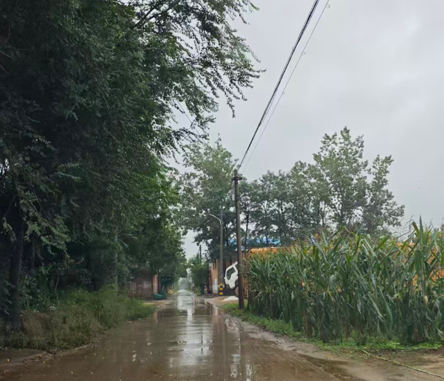 【人生咏叹】秋雨归乡军营村