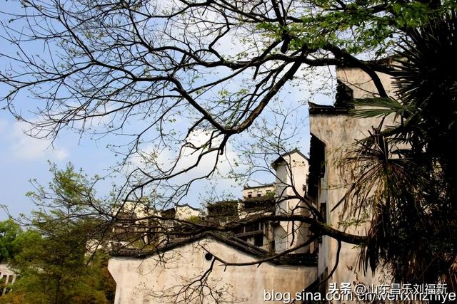 婺源篁岭旅游札记[三]（江西之旅第四十五篇）
