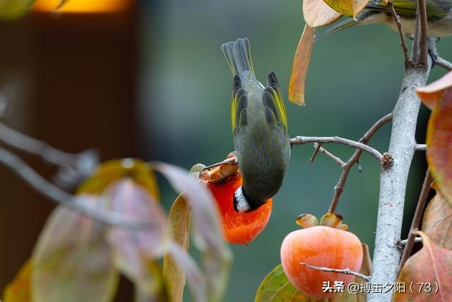 两性关系	，惊人发现，60岁与异性靠近，根本不是桃花运	，而是这