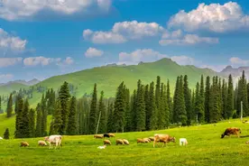 【独库公路】10大旅行问题大解析！图片