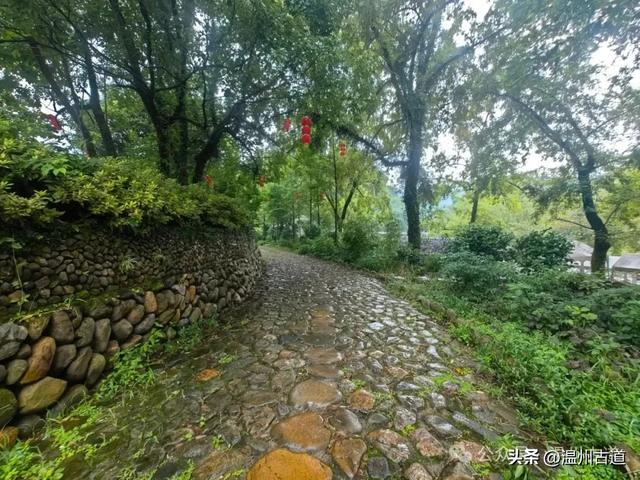 探索温州小众宝藏旅游地，这个以矴步命名的静美古村落不容错过