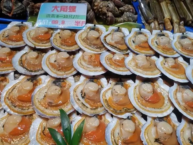 日本水产天塌了！6吨扇贝入华仅12天，首相一句话，871亿市场停摆