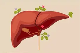 春天百病起，三味中药泡水喝，疏通肝气、滋补肝肾！图片