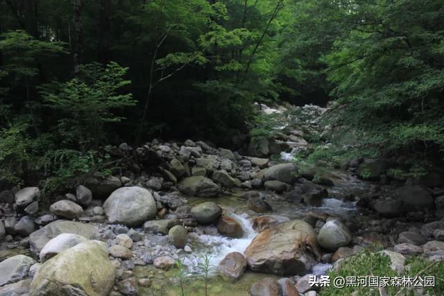 西安2h直达！钻进20℃的“天然空调房”，超全纳凉自驾攻略来了！