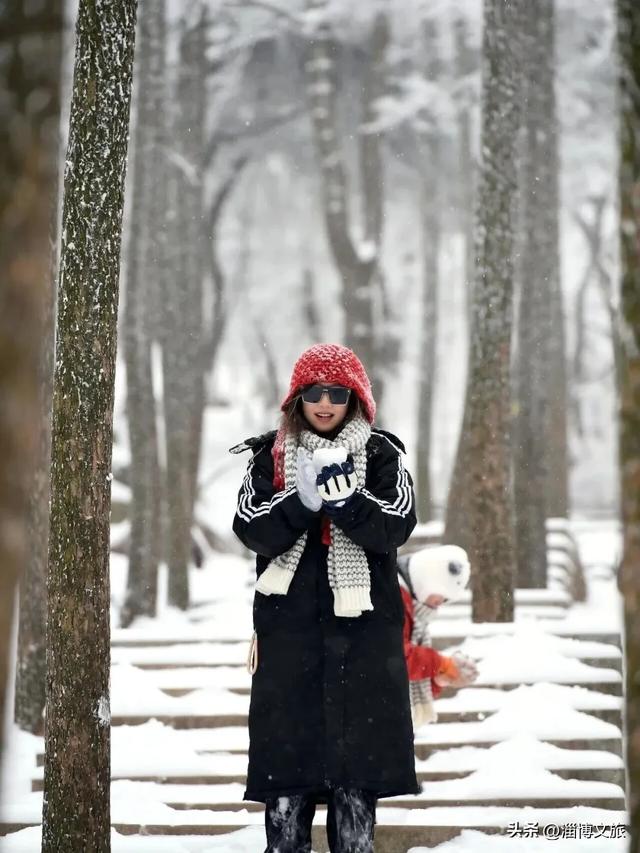 淄博冰雪宝典，请请收好