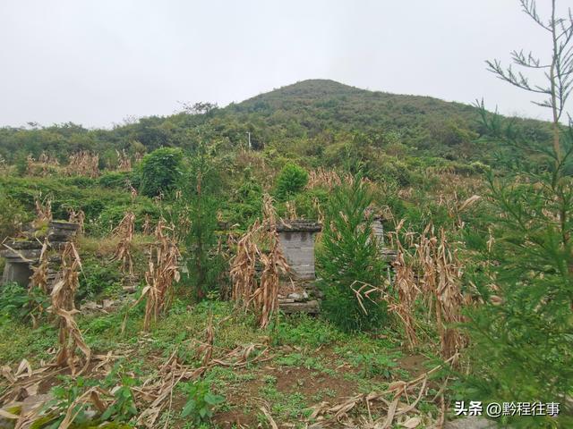 寻找一片僧人墓地，佛门高僧竟然最后落得尸骸无存