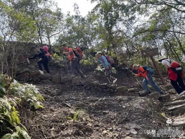 穿越野线的独特乐趣!这条雁荡山经典徒步线路你可去过?