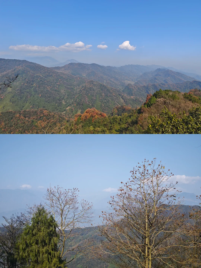 奖牌首发！成都1.5h新晋野趣徒步线，绳索上下+森林秋千，太野了