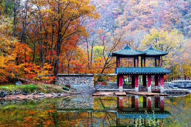 不藏了，美景天成：去辽宁这五处红叶佳景，体验最诗意的北国