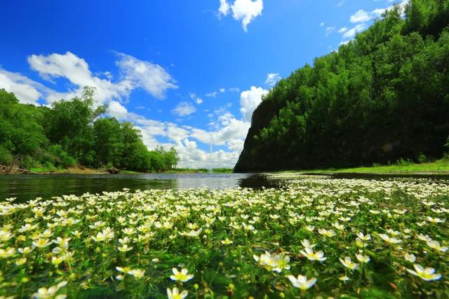 额尔古纳文旅焕发新活力：新业态赋能沉浸式体验，全链条服务护航安心旅程