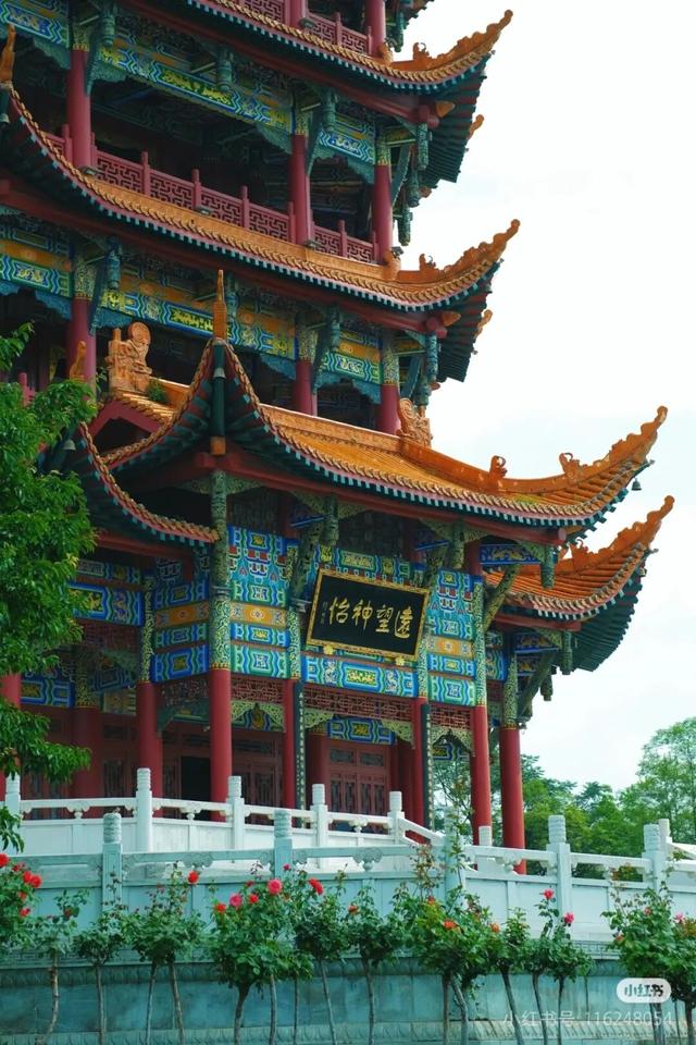 周末就冲！成都出发40min直达浪漫小城，喂海鸥逛古寺！