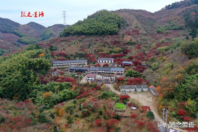 四明山脉的精华，四明山镇，全域皆风景