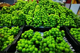 想吃阳光玫瑰葡萄吗？先来了解一下吧图片