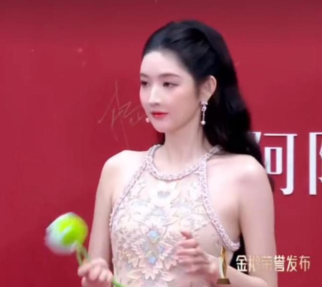 海南红毯好俗	，毛晓彤挤出副乳，张萌深V不怕走光，宋茜胸骨凸出