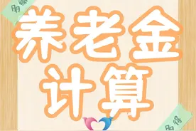 湖南省灵活就业一年缴费9664.8元，缴费20年，养老金能领多少？图片
