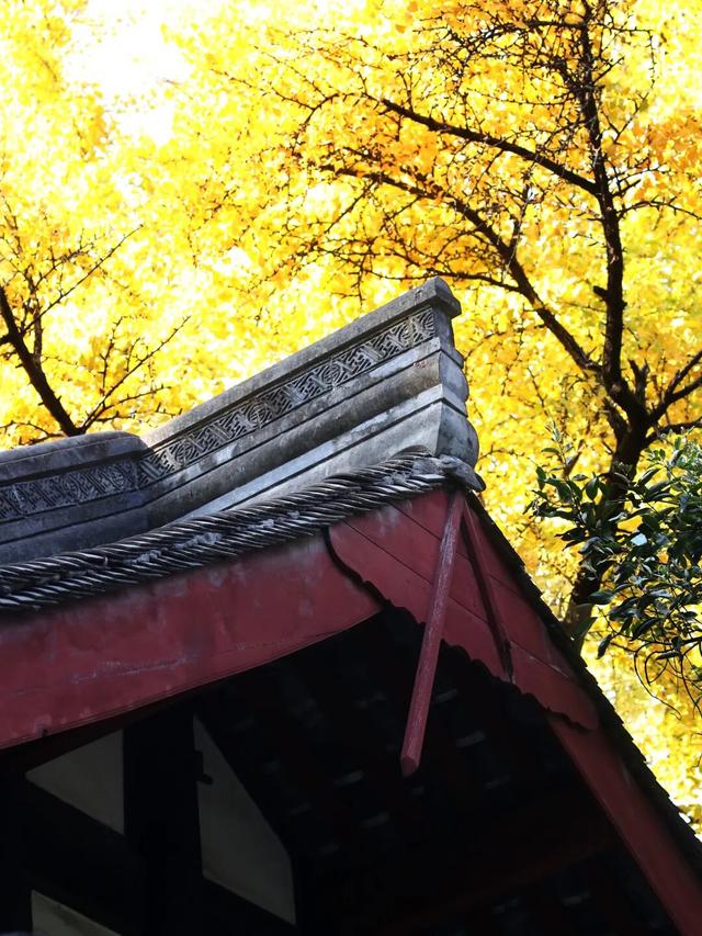 还起什么标题，美不美你们直接看！