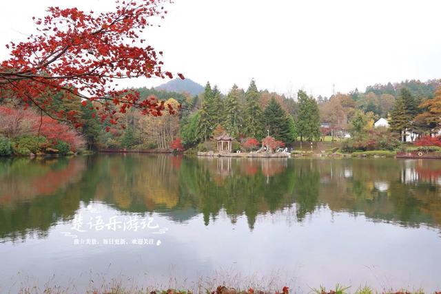美到封神？余姚这处风景确实名不虚传，斑斓风景正值最佳观赏季