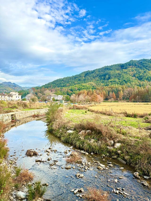 追着晚秋(黟县宏村镇塔川村)