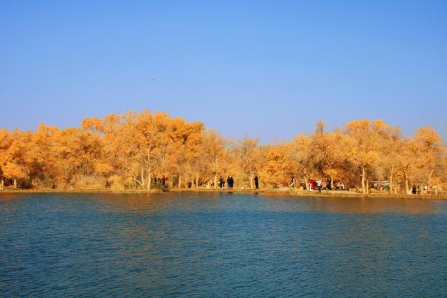 酒泉金塔胡杨林，时光凝固成美丽的神话，奔赴一场秋季的浪漫之旅
