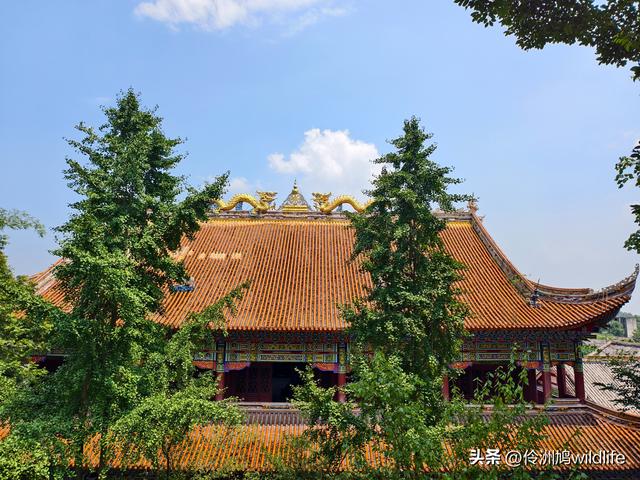 成都徒步（68）·彭州篇⑮佛山古寺&镇国寺宝塔