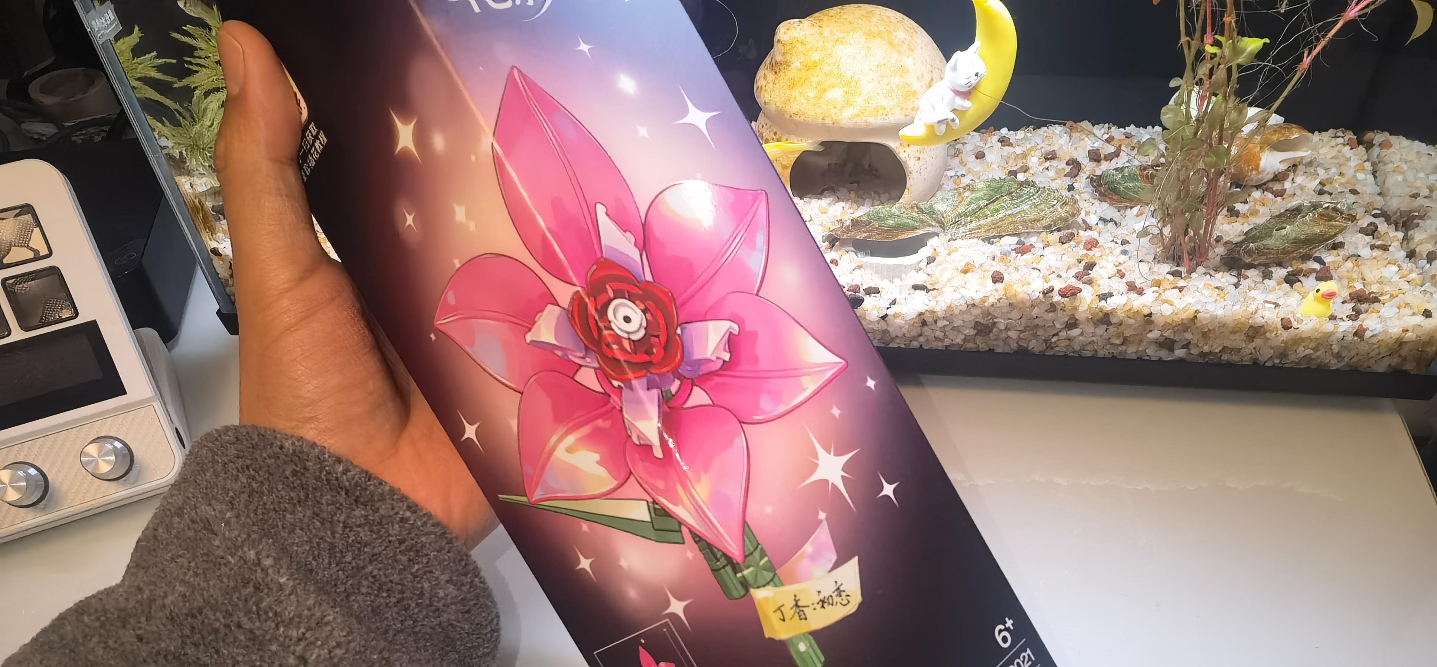 沃马积木永生花,全家参与永不凋谢!