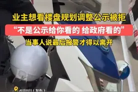 “公示不是给业主看的 是给政府看的”广西一楼盘开发商在捂什么？图片