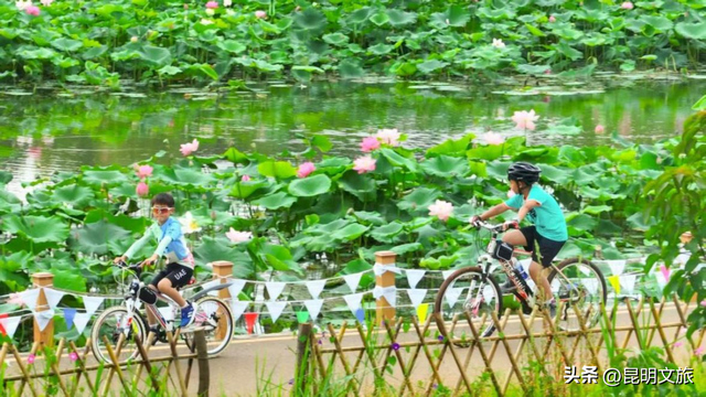 周末就冲！滇池边的骑行嘉年华来咯，持续报名中~