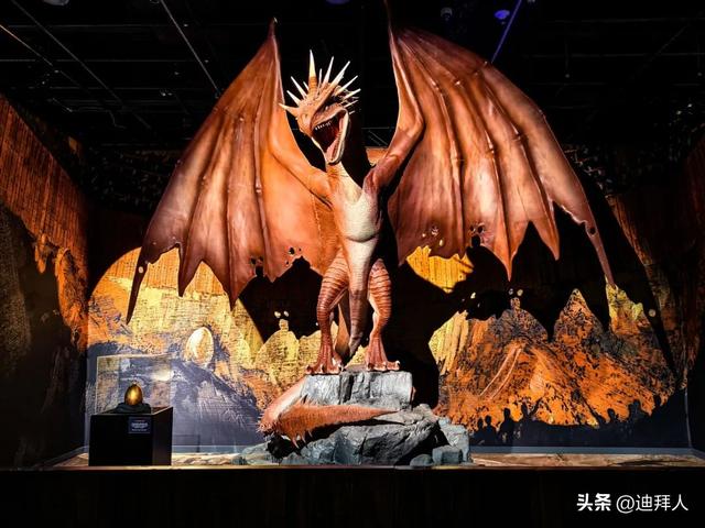 20年“老哈迷”亲测阿布扎比「哈利波特体验馆」！全程高能！