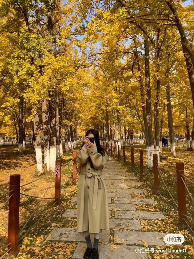 临沂秋日捡秋啦 | 把秋天，装进你的时间胶囊~