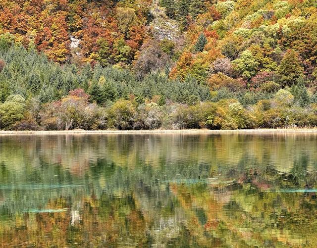 九寨沟的颜值巅峰：层林尽染、海子映彩