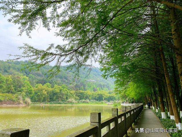 2023年春重庆探亲记（三）