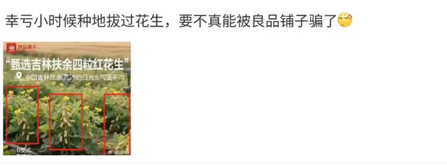 花生上树了？AI 竟然敢这么玩！