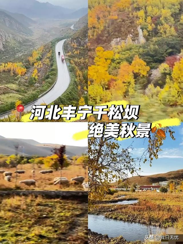 我是成都人，刚从河北丰宁回来，憋了一肚子感受和疑问不吐不快。