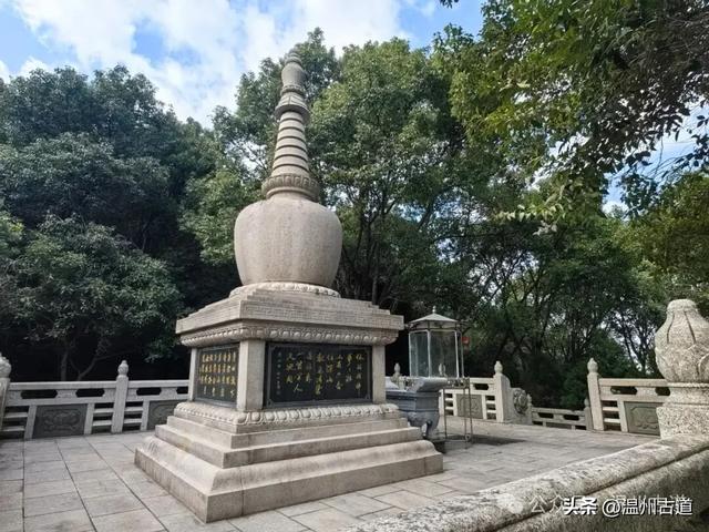 一树金黄，满城风雅！温州这棵著名的古寺银杏再不去就要落叶了