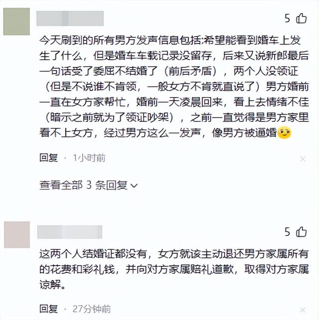 新郎跳河真相大白！双方激烈争吵，女方自认无责，最后1句话曝光